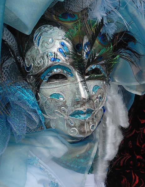 Maschera piumata - Carnevale di Venezia