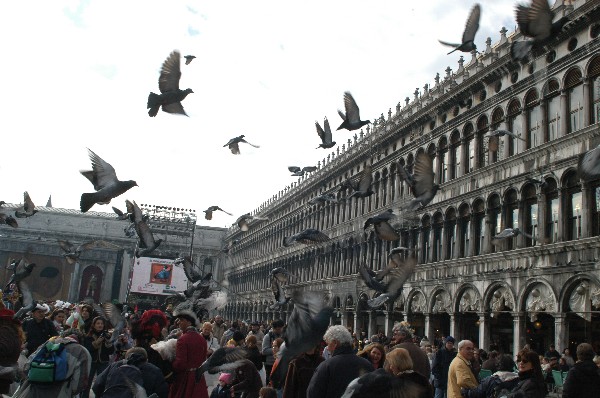 Piazza San Marco - Carnevale di Venezia