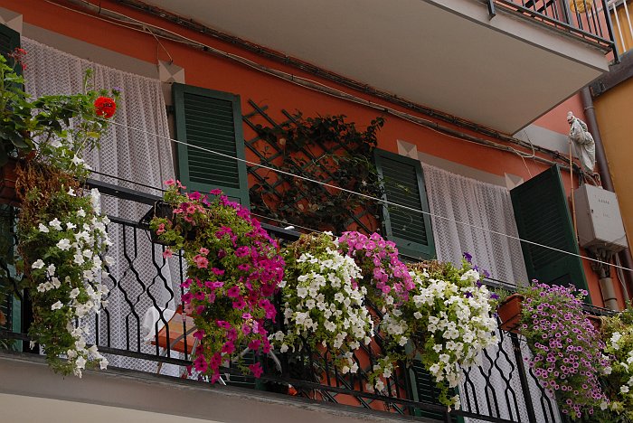 Balcone fiori - Fotografia di Riomaggiore - Le Cinque Terre