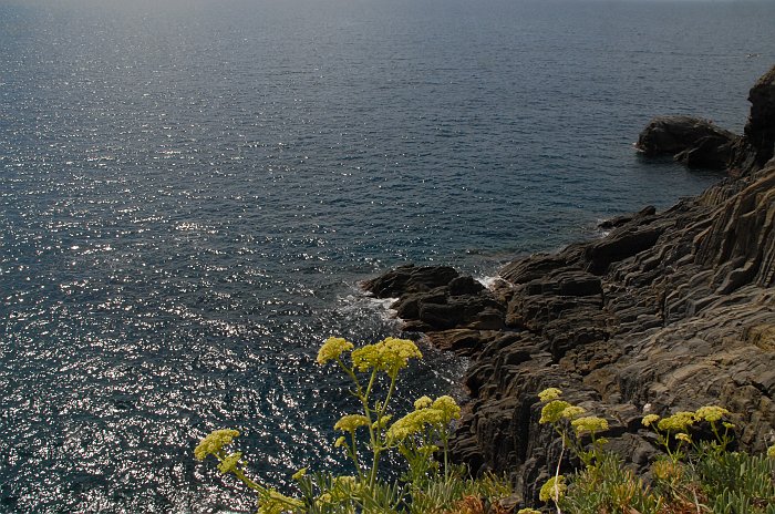 Panoramica del mare - Fotografia di Riomaggiore - Le Cinque Terre