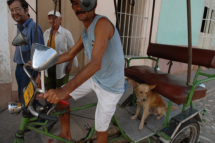 Cane sul riscio - Fotografia di Trinidad - Cuba 2010