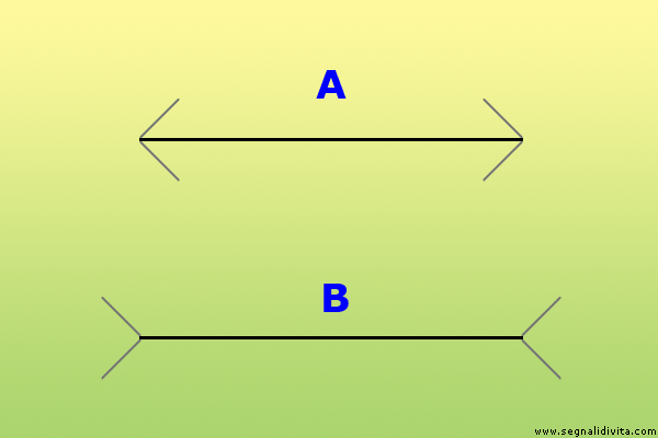 Illusione ottica di due segmenti