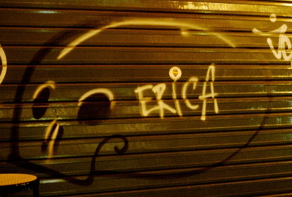 Erica - Murales di Bologna