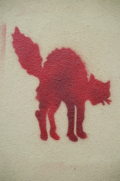 Gatto Rosso - Murales di Bologna