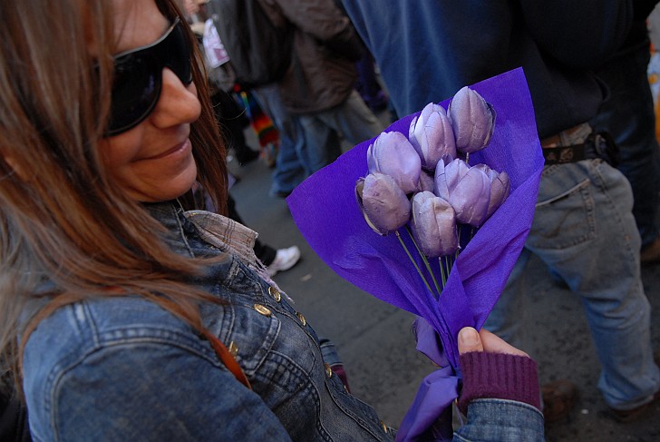 Fiori viola - Fotografia del No Berlusconi Day