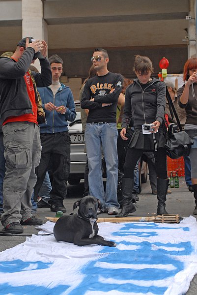 Cane sullo striscione :: Street Rave Parade