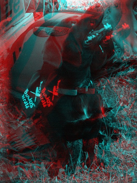 Cane - Foto 3D :: Buskers Pirata Bologna 2010