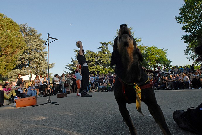 Emozione canina :: Buskers Pirata Bologna 2010