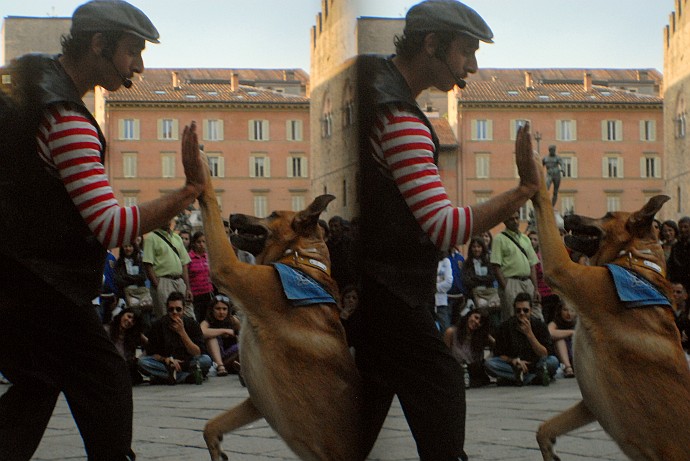 Qua la zampa - Foto 3D :: Buskers Pirata Bologna 2010