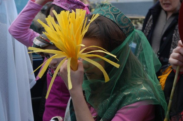 Fiori - Carnevale di Soverato