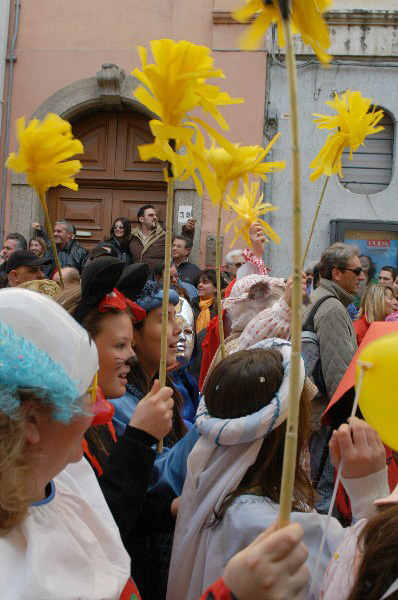 Fiori gialli - Carnevale di Soverato