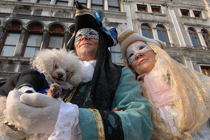 Cagnolino in costume - Carnevale di Venezia