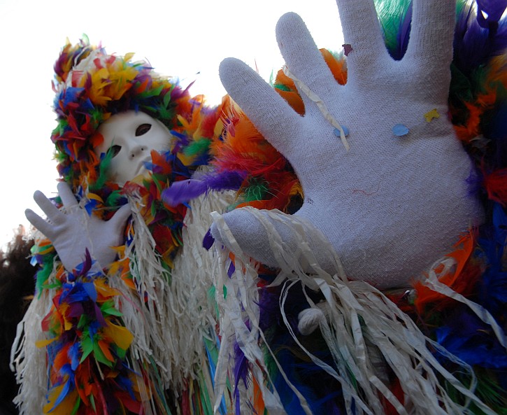 Piume colorate - Carnevale di Venezia