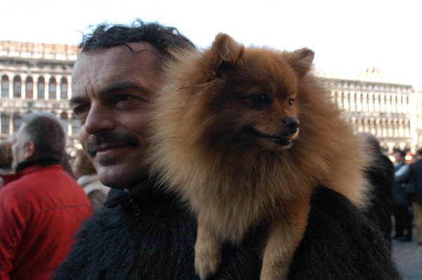 Cagnolino in groppa - Carnevale di Venezia