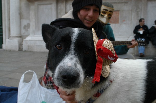 Dog - Carnevale di Venezia