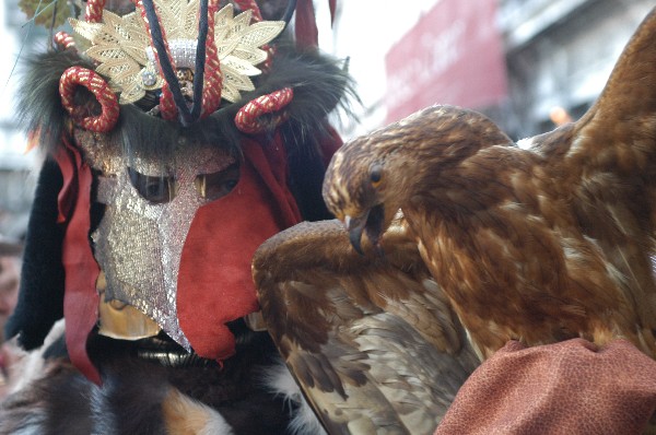 Falco - Carnevale di Venezia