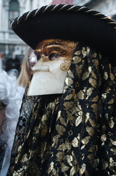 Foglie oro - Carnevale di Venezia