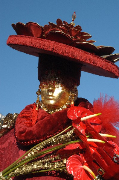 Maschera elettronica - Carnevale di Venezia