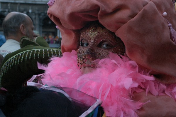 Piume rosa - Carnevale di Venezia