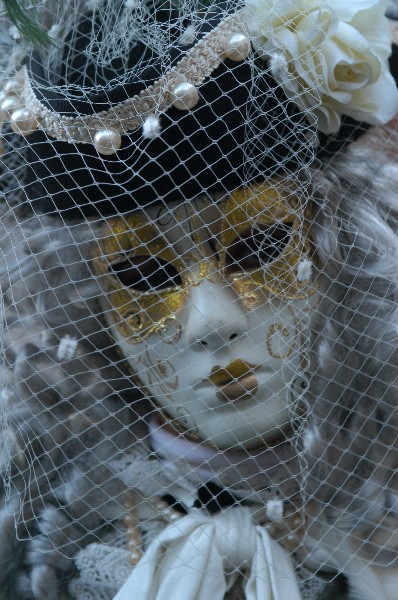 Retina - Carnevale di Venezia