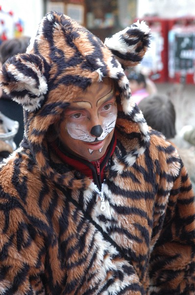Tiger - Carnevale di Venezia