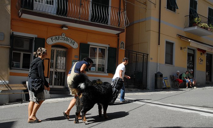 Strada principale - Fotografia di Manarola - Le Cinque Terre