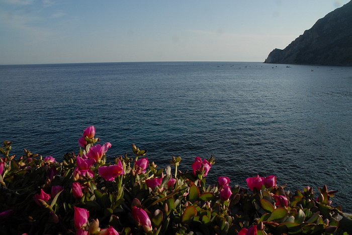 Mare Monterosso - Cinque Terre