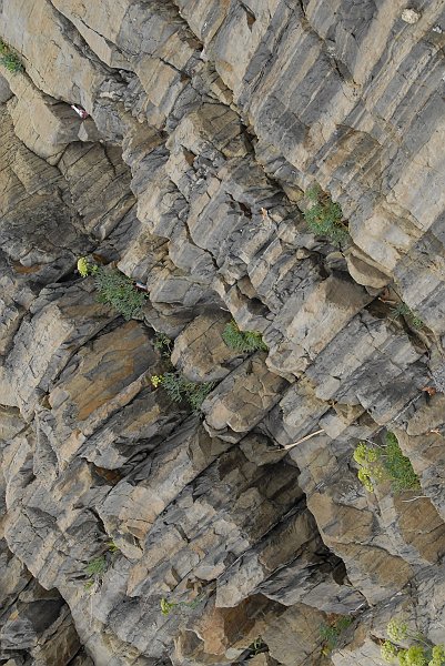 Roccia scogli - Fotografia di Riomaggiore - Le Cinque Terre