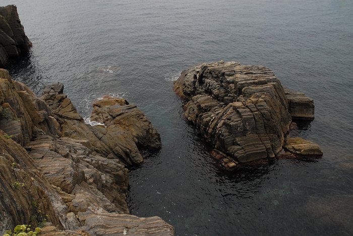 Scogli - Fotografia di Riomaggiore - Le Cinque Terre