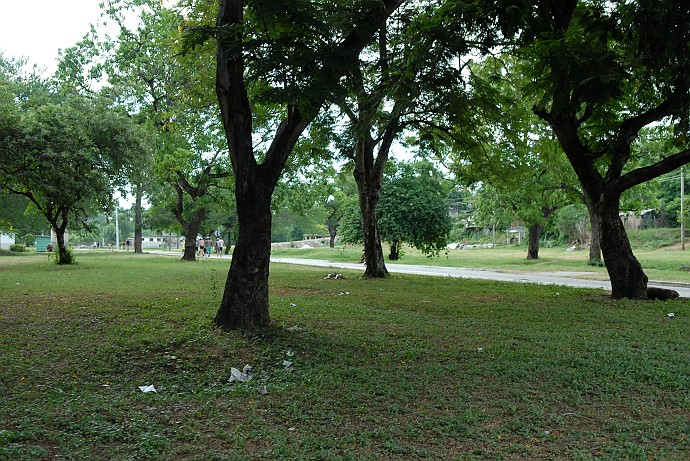 Vegetazione - Fotografia di Bayamo - Cuba 2010