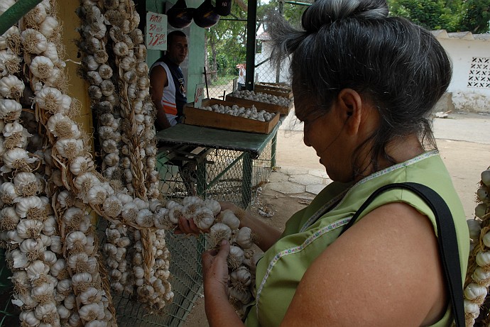 Aglio - Fotografia di Camaguey - Cuba 2010