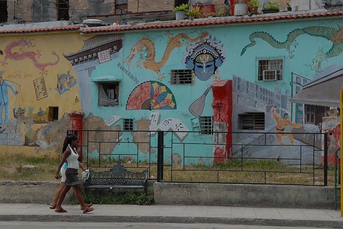 Murales - Fotografia della Havana - Cuba 2010