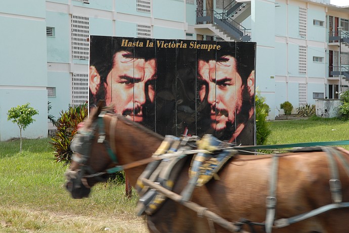 Cavallo - Fotografia di Santa Clara - Cuba 2010