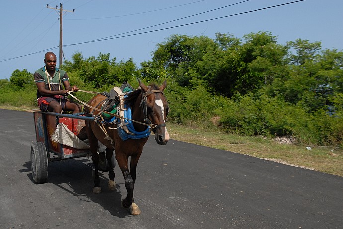 Carro con cavallo - Fotografia di Santiago di Cuba - Cuba 2010