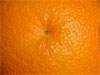 Arancione -  Fotografia per il Desktop