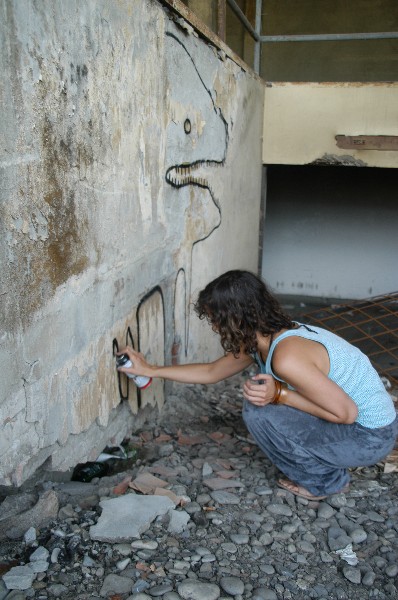 Oltre Il Muro