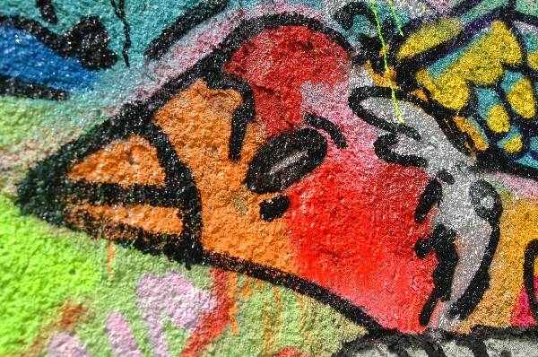Pajaro