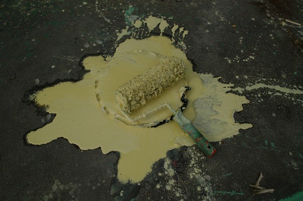 Splash