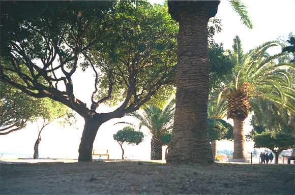 Parco - Foto qua e là...