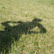 La natura di un ombra :: Foto del Giorno
