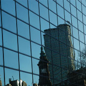 Riflessi di vita - Foto del Giorno