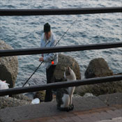 La pazienza premia - Foto del Giorno
