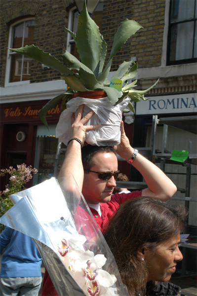 Foto del Giorno - Agave emolliente e lenitivo sulla cute...