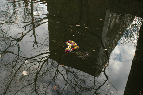 Foto del Giorno - Ricordati di me