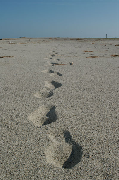 Foto del Giorno - Impronte