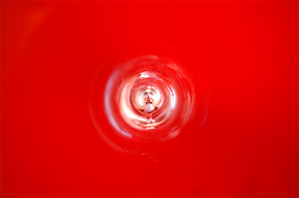 Foto del Giorno - Linguona