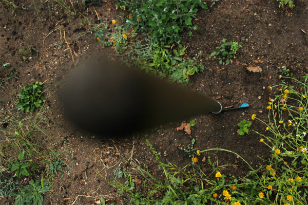 Foto del Giorno - ImPalata