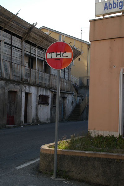 Foto del Giorno - THC