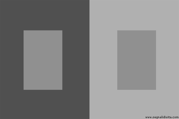 Tonalità di grigio - Illusione ottica