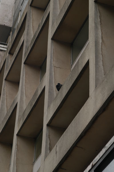 Loculi - Fotografia di Londra